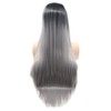 RainaHair Silver Grey Long Straight Lace Front Wigs with Dark