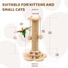 Xeticey Cat Scratching Post Multifunctional Sturdy Cat Scratcher for Indoor