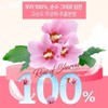 High-content Rose of Sharon Fit Rose of Sharon Extract Hibiscus