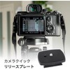 Spare Shoe Quick Release Plate 1 QR Plate (Compatible with