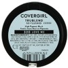 TrueBlend So Flushed High Pigment Blush