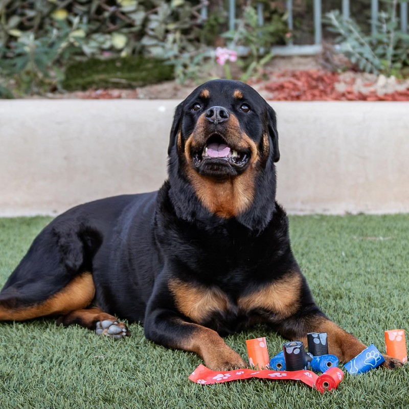 Best Pet Supplies Dog Poop Bags (360 Bags) for Waste