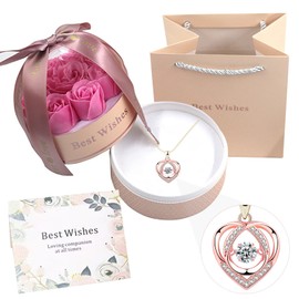 Cúpula de Acrílico con Rosa Eterna con Collar encantada para Siempre Diseño de La Bella y la Bestia con 9 Rosas Flores de Regalos para Mamá,Romántico Regalo para Mujer, San Valentín, Navidad (Rosado)