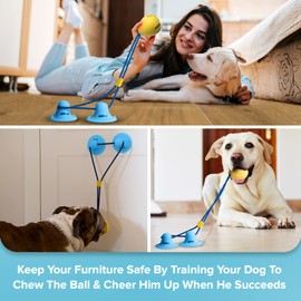 Double Suction Cup Dog Toys Set for Aggressive Chewers 100% Rubber (3 in 1), Teeth Cleaning Toothbrush Toy Stops Plaque & Tarter, Cherry Blossom Waste Bag Dispenser Bonus, Tug of War Toy for Dog's IQ