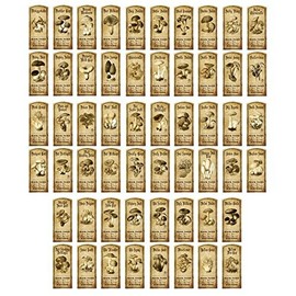 MyTinyWorld Dolls House Miniature Apothecary Set of 56 Fungi/Toadstall Labels