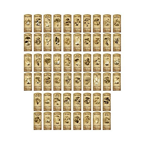 MyTinyWorld Dolls House Miniature Apothecary Set of 56 Fungi/Toadstall Labels