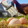 Egg Date Stamp, Egg Dating Set with Stamp, Date Rubber