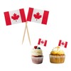 100 Pieces Canada Flag Toothpicks, Small Food Cupcake Topper for