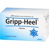 Gripp-Heel Tabletten bei grippalen Infekten, 250 St. Tabletten