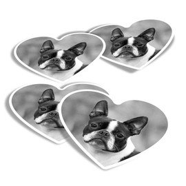 Vinyl Heart Stickers (Set of 4) - BW - Cute Boston Terrier Puppy Dog Fun Decals for Laptops,Tablets,Luggage,Scrap Booking,Fridges #37530