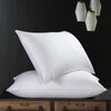 ASSAN LLC Bed Pillows Queen Size Set of 2 -