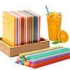 1000pcs Colorful Disposable Drinking Plastic Straws Bulk