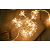 WFGGEH Flower String Lights, 10ft 20 LED USB Powered Cherry