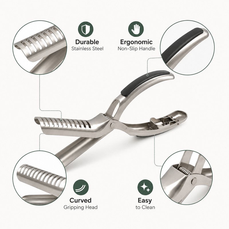 Rib Membrane Removal Tool for BBQ Prep – Stainless Steel