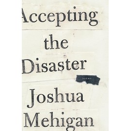 Accepting the Disaster: Poems