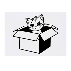 'Cat In a Box' Temporary Tattoo - Water Resistant, Skin-Safe, Non-Toxic Transfer (TO00069437)