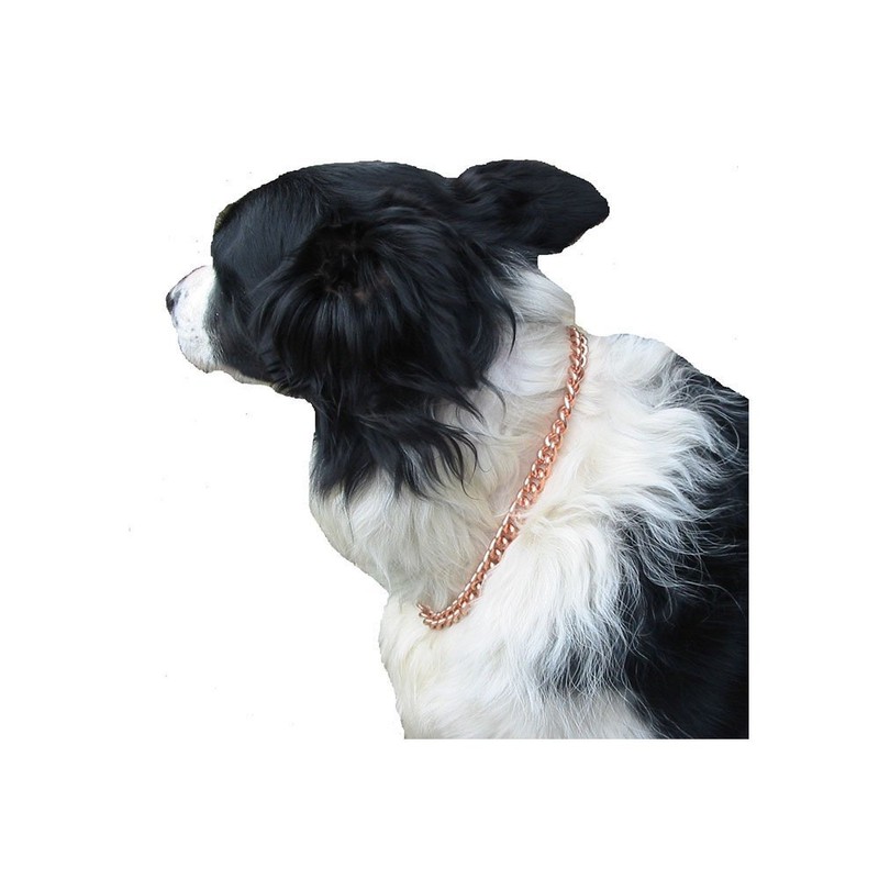 Amazing Health Dogs Copper Collar (Small 12")