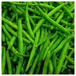 Everwilde Farms - 1 Lb Provider Green Bean Seeds - Gold Vault