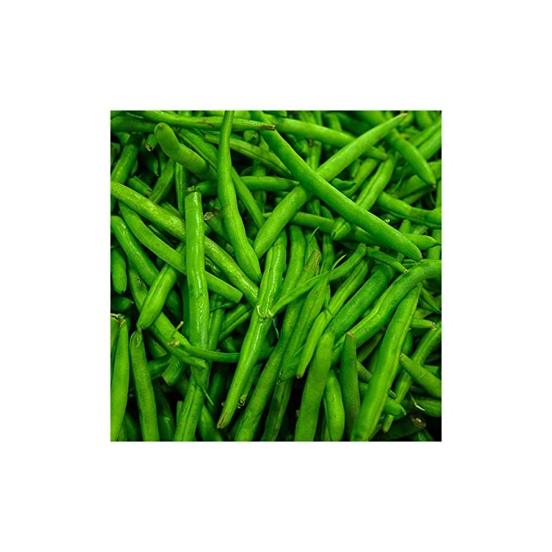 Everwilde Farms - 1 Lb Provider Green Bean Seeds -