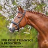 Stiefel Black Cumin Oil for Horses 100% Natural Oil Cold