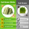 kurniso Cat Treats 100g, Natural Cat Grass Sticks,Chew Stick for