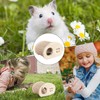 Wooden Hamster House | Small Animal Hide Out | Cage
