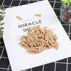 DERAYEE Pack of 100 Wooden Pegs, Clothes Pegs, Small, for