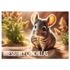 Irresistible Chinchillas (Monthly Wall Calendar 2026 16.5" x 23.4" (open)),