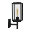 Robert Stevenson Lighting Addison - Metal and Glass Outdoor Light,