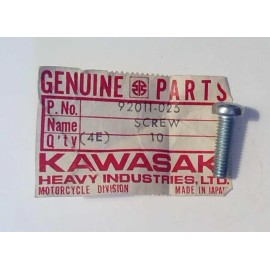 Kawasaki NOS Kawasaki  1972-1975 350 F9 Pan Head Screw Bolt 6x20 92011-025 NEW OEM