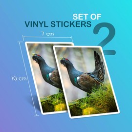 Vinyl Rectangle Vertical (Portrait) Stickers (Set of 2) 10cm - Capercaillie Bird Wildlife Nature Forest for Laptops, Tablets, Luggage, Scrap Booking, Fridges #50454
