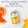 SOLARAY Super Bio Buffered Vitamin C 1000mg, Two-Stage, Timed Release