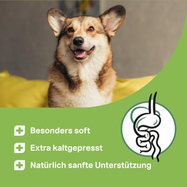 MEDIDOG Intestinal Active Drops - 400 g - Cold Pressed Drops for All Dogs - Supports Grass & Fecing, Diarrhoea and Vomiting - with Inulin, MOS, Fennel, Psyllium Husks