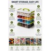 Transparent Plastic Storage Box with Green Drawer Portable Storage Organizer