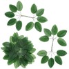 Sliverdew 50 Pcs Artificial Green Leaves Rose Leaves Bulk Fake