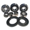 Complete Set Gear Bearings + Shaft Seals