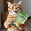 NSWXZDS 6Pcs Cat Toys Cats Grass Treat for Indoor Cat