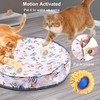 Aero Zen Interactive Cat Toys for Indoor Cats,Self Rolling Cat