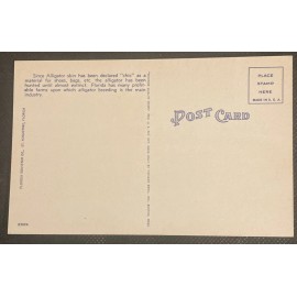 Tichnor Brothers St. Augustine Alligator & Ostrich Farm Vintage Linen Postcard "Taking It Easy"