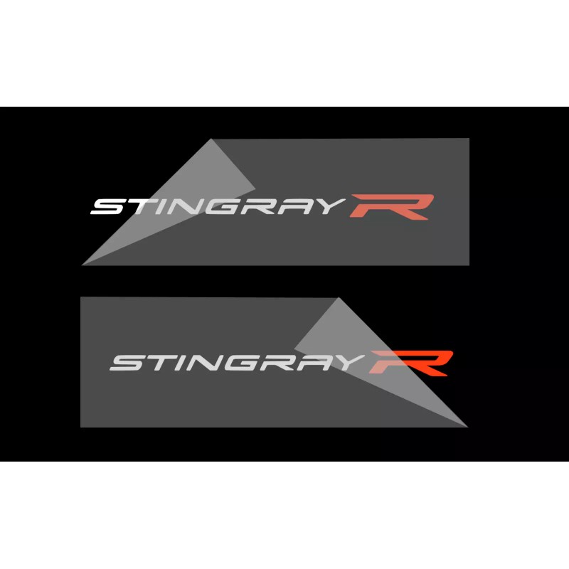 Gearhead Frames 2x C8 Corvette Stingray R Racing IMSA Premium
