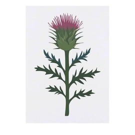 'Single Scottish Thistle' Temporary Tattoo - Water Resistant, Skin-Safe, Non-Toxic Transfer (TO00082681)