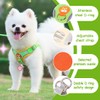OUDQFCJ Dog Chest Carrier with Lead, Anti-Pull Reflective Breathable Chest