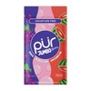 PUR Jumbo Gum | Aspartame Free Chewing Gum | 100%