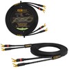 WORLDS BEST CABLES 4 Foot WBC-GOLD-LOCAP-SPKR-12 AWG - Low-Capacitance -