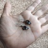 Dtup Aretes Malefica Corazon Oro Negro Gotico Original S925 Dtup®