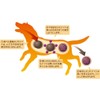 Wanko Limonite Soft Ultra Small Dog Treats 50g (x1)
