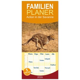 Familienplaner 2026 - Action in der Savanne mit 5 Spalten (Wandkalender, 21 cm x 45 cm), CALVENDO: Afrikas Tiere in voller Aktion (CALVENDO Tiere)