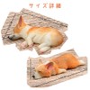 (moin moin) Dog, Dog, Fluffy, with Bed, Dog, Realistic Figure,