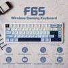 EPOMAKER x Aula F65 65% Wireless Mechanical Keyboard, Hot Swappable