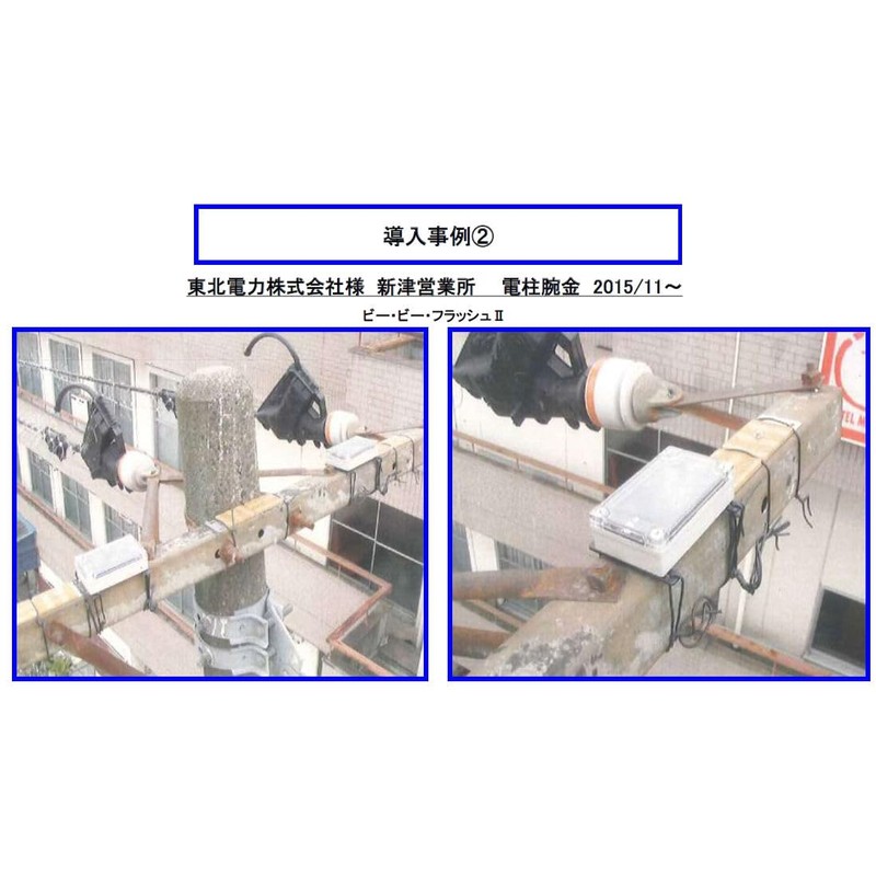 Bee Bee Flash III Crow Protection, Solar Panel Specifications, Bird